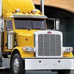 Profile photo of BandyBoy