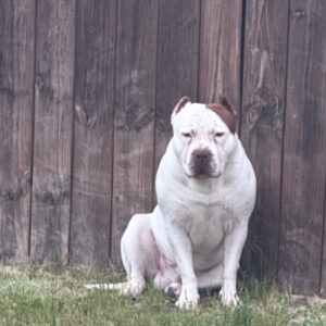 Profile photo of Eric