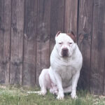 Profile photo of Eric