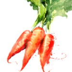 Profile photo of Veritable Vegetable