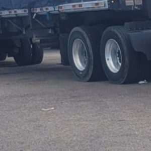 Profile photo of Brian