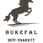 Bukefal LLC